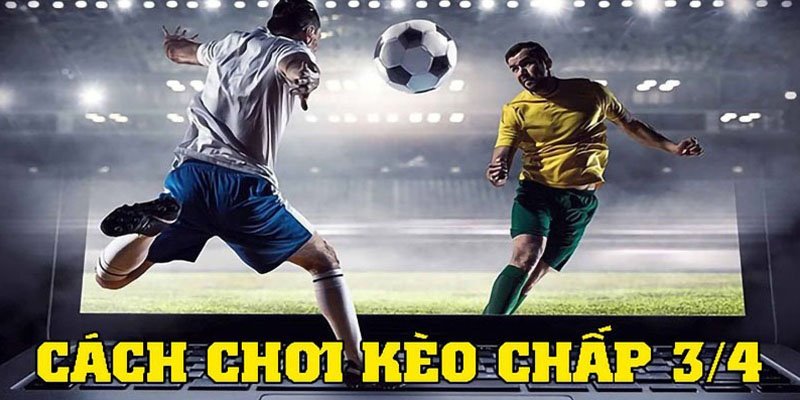 Cách đặt cược tỷ lệ châu Á nửa một dễ hiểu